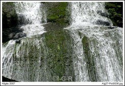 image00005