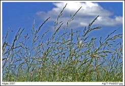 image00014