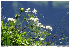 image00026