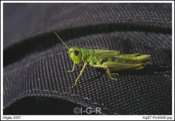 image00028