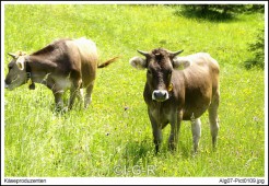 image00034
