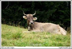 image00035