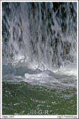 image00052