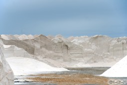 image10390