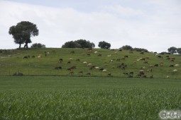 image10780