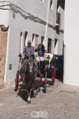 image20485