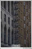 image15419