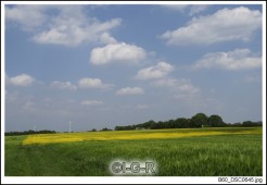 image08616