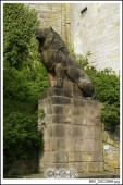 image08826