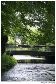 image08904