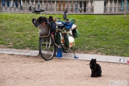 image12795