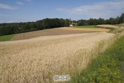 image10220