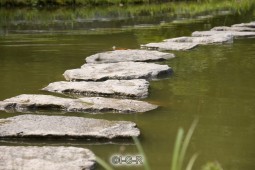 image10270