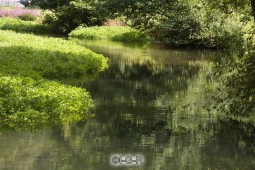 image10340