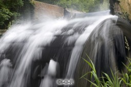 image10350