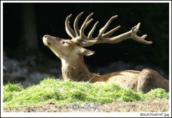 image01014