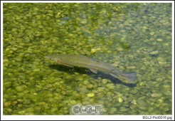 image01040