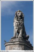 image10245