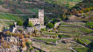 016 burg gutenfels