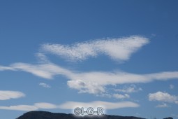 image08916