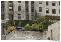 image99148