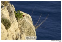 image11522