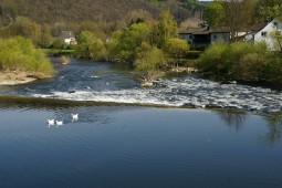 D104_DSC7875