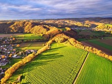 DJI_0081-1