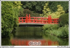 image07392