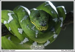image07604
