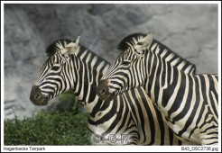 image07608