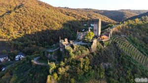 C039-Burg Metternich