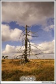 image01050