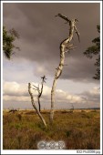 image01052