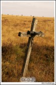 image01068