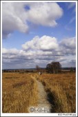 image01070