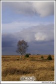 image01074