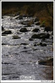 image01076