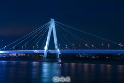 image10245