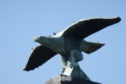 image10455