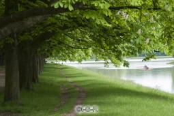 image10510