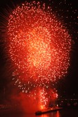 image10206