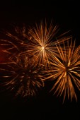 image10216