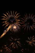 image10220