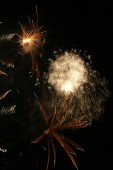 image10230