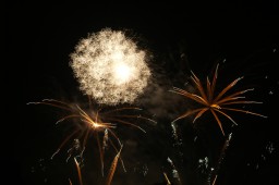 image10278