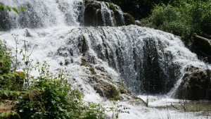 BDSC05189_kl
