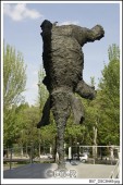image10368