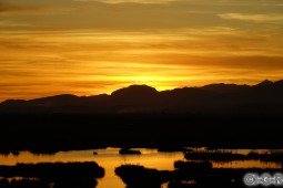 image80960