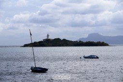 image90600